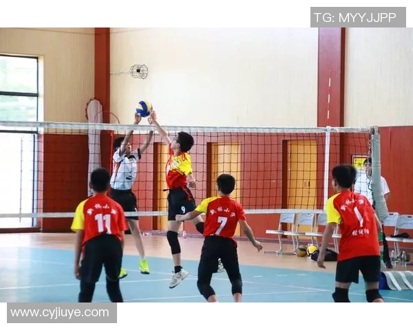 重庆排球队在全国排球意识排行榜中荣登第九名展现出强大实力与潜力