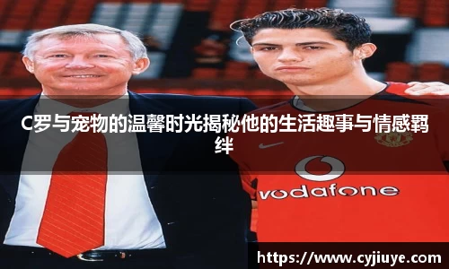 j9九游会真人游戏第一品牌